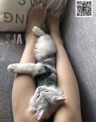 李丽珍一级A片免费播放_蓝光免费全集观看